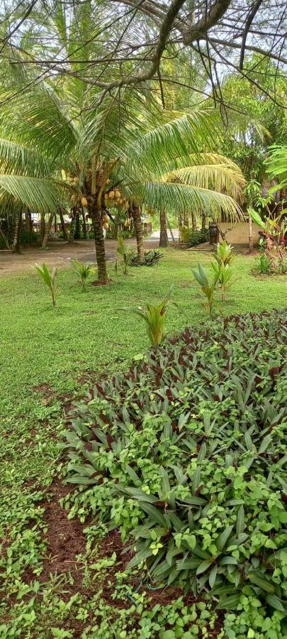 Selong Belanak Bungalows Exteriér fotografie